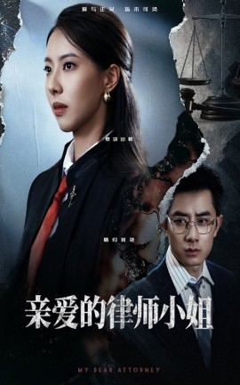 亲爱的律师小姐(全集)