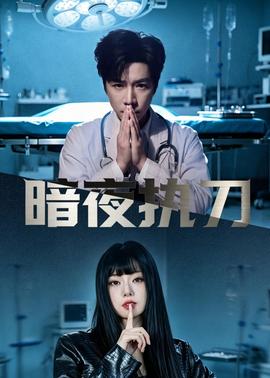 暗夜执刀(全集)