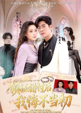 领证错付后，我悔不当初(全集)