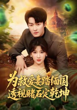 为救爱妻踏缅国透视赌石定乾坤(全集)