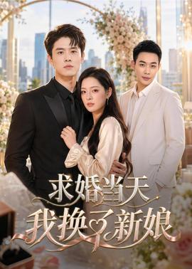 求婚当天我换了新娘(全集)